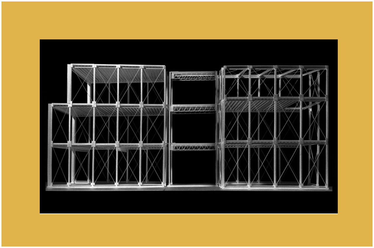 DAYTONA HOUSE × LDK